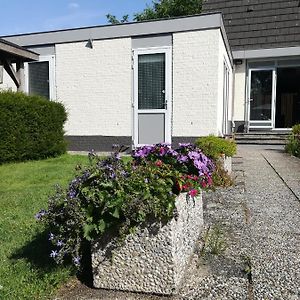 Deluxe Studio